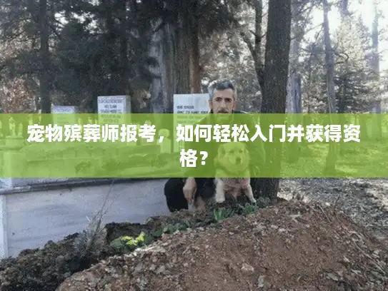 宠物殡葬师报考，如何轻松入门并获得资格？