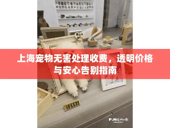 上海宠物无害处理收费，透明价格与安心告别指南