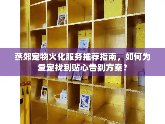 燕郊宠物火化服务推荐指南，如何为爱宠找到贴心告别方案？