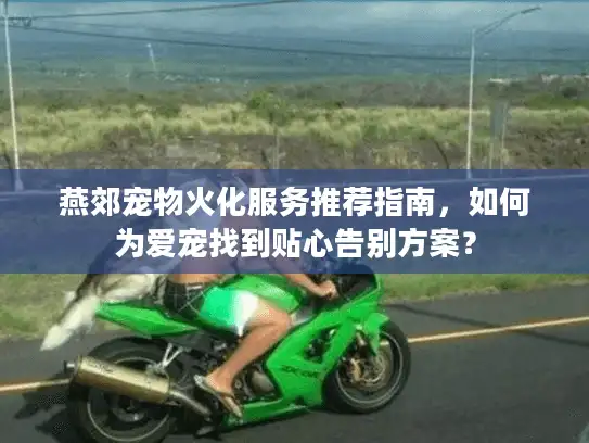 燕郊宠物火化服务推荐指南，如何为爱宠找到贴心告别方案？