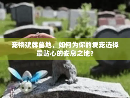 宠物殡葬墓地，如何为你的爱宠选择最贴心的安息之地？