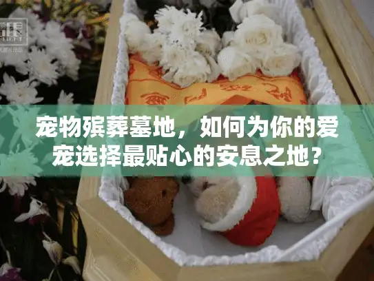 宠物殡葬墓地，如何为你的爱宠选择最贴心的安息之地？