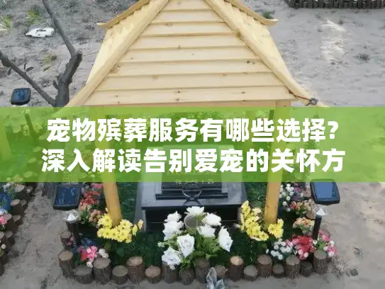 宠物殡葬服务有哪些选择?深入解读告别爱宠的关怀方案