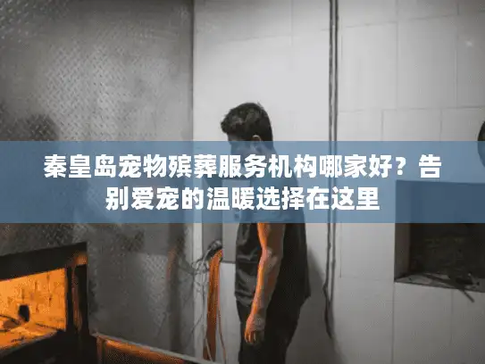 秦皇岛宠物殡葬服务机构哪家好？告别爱宠的温暖选择在这里