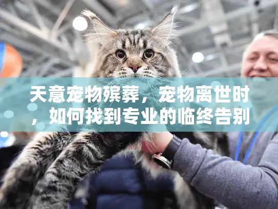 天意宠物殡葬，宠物离世时，如何找到专业的临终告别服务？