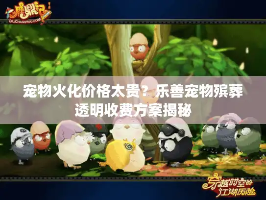 宠物火化价格太贵？乐善宠物殡葬透明收费方案揭秘