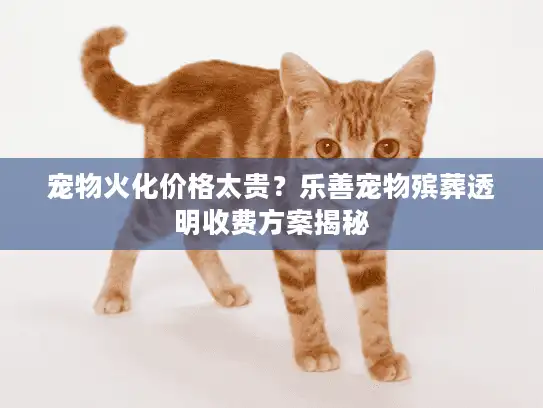 宠物火化价格太贵？乐善宠物殡葬透明收费方案揭秘