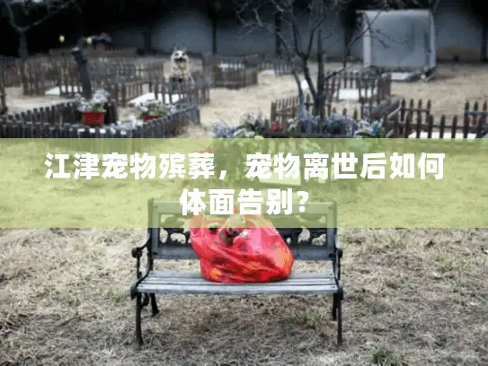 江津宠物殡葬，宠物离世后如何体面告别？