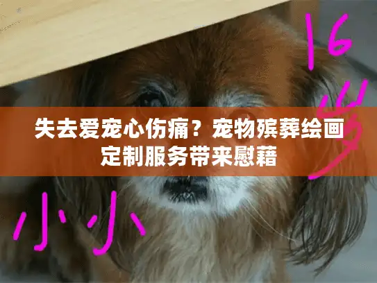 失去爱宠心伤痛？宠物殡葬绘画定制服务带来慰藉