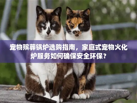 宠物殡葬锅炉选购指南，家庭式宠物火化炉服务如何确保安全环保？