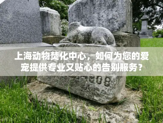 上海动物焚化中心，如何为您的爱宠提供专业又贴心的告别服务？
