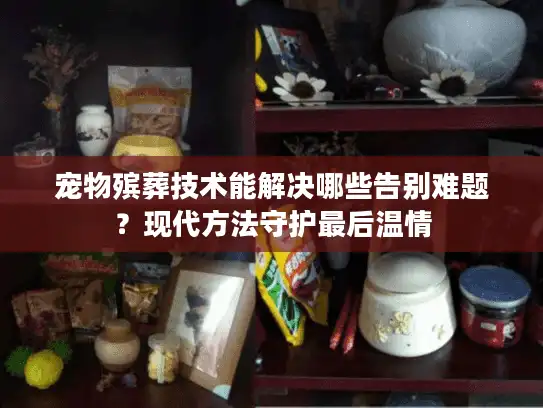 宠物殡葬技术能解决哪些告别难题？现代方法守护最后温情