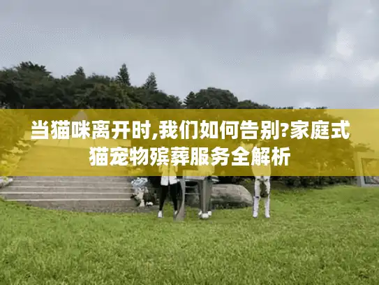 当猫咪离开时,我们如何告别?家庭式猫宠物殡葬服务全解析