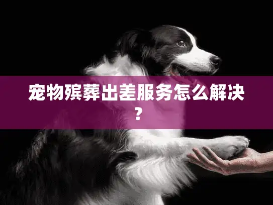 宠物殡葬出差服务怎么解决？