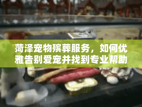 菏泽宠物殡葬服务，如何优雅告别爱宠并找到专业帮助