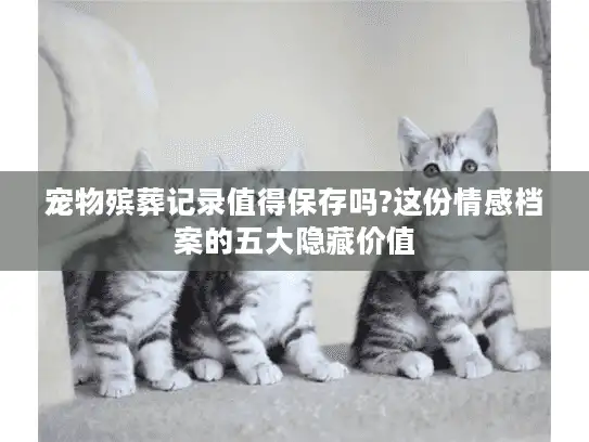 宠物殡葬记录值得保存吗?这份情感档案的五大隐藏价值