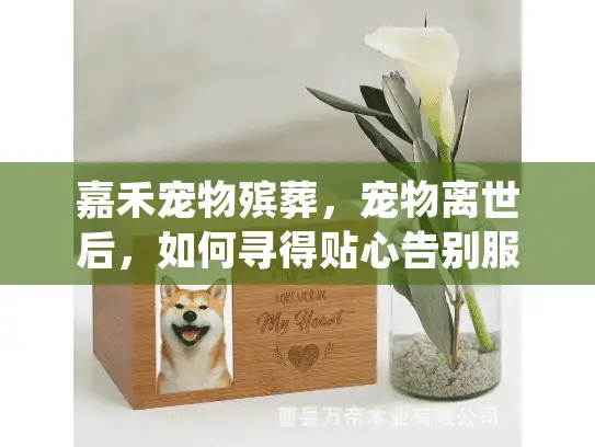 嘉禾宠物殡葬，宠物离世后，如何寻得贴心告别服务？