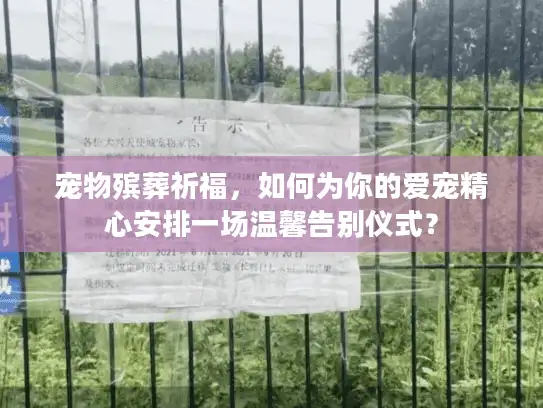 宠物殡葬祈福，如何为你的爱宠精心安排一场温馨告别仪式？