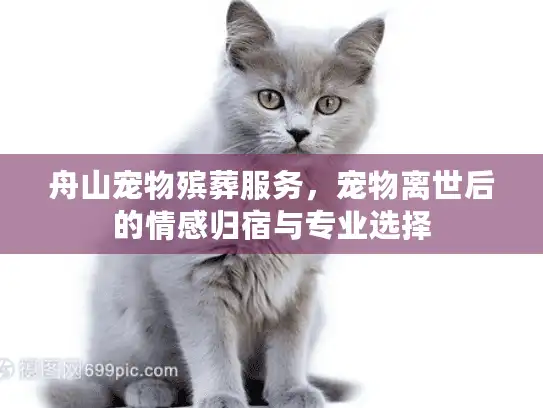 舟山宠物殡葬服务，宠物离世后的情感归宿与专业选择