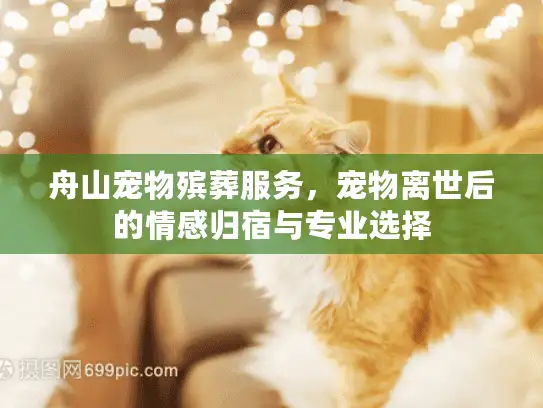 舟山宠物殡葬服务，宠物离世后的情感归宿与专业选择