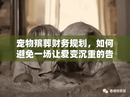 宠物殡葬财务规划，如何避免一场让爱变沉重的告别？