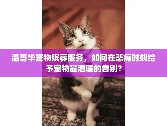 温哥华宠物殡葬服务，如何在悲痛时刻给予宠物最温暖的告别？