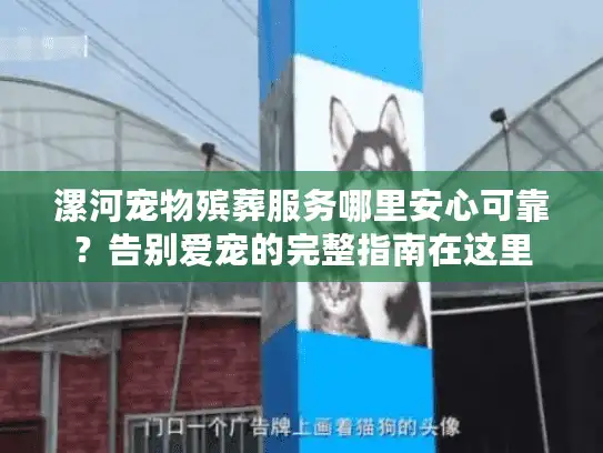 漯河宠物殡葬服务哪里安心可靠？告别爱宠的完整指南在这里