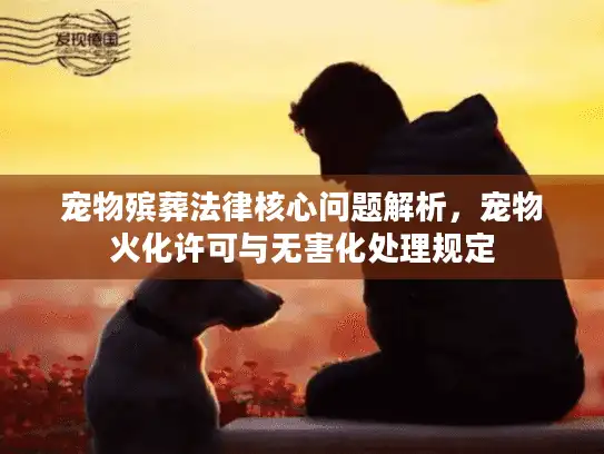 宠物殡葬法律核心问题解析，宠物火化许可与无害化处理规定