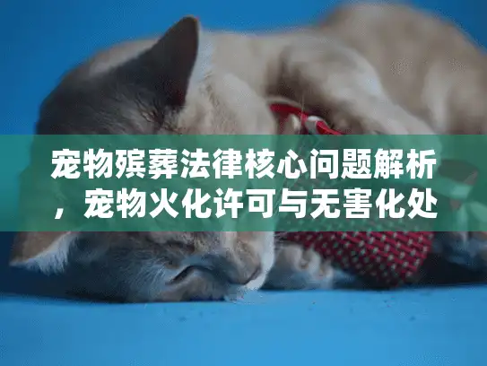 宠物殡葬法律核心问题解析，宠物火化许可与无害化处理规定