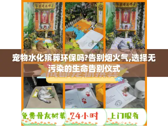 宠物水化殡葬环保吗?告别烟火气,选择无污染的生命告别仪式