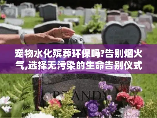 宠物水化殡葬环保吗?告别烟火气,选择无污染的生命告别仪式