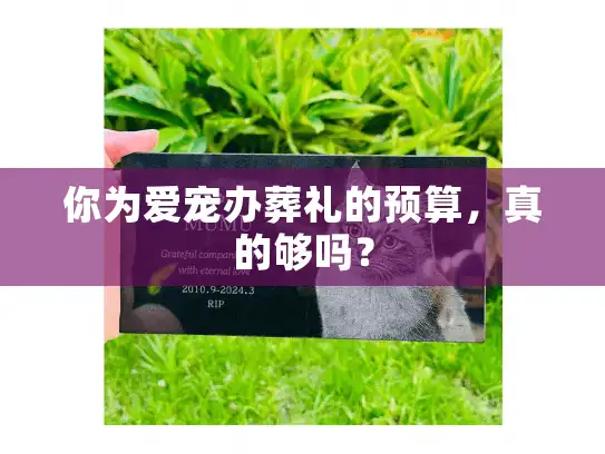 你为爱宠办葬礼的预算，真的够吗？