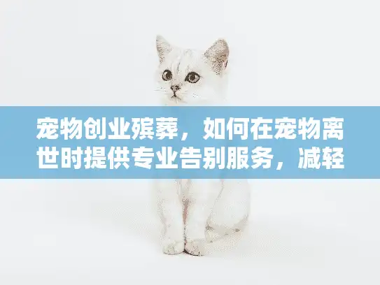 宠物创业殡葬，如何在宠物离世时提供专业告别服务，减轻您的悲伤？