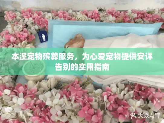 本溪宠物殡葬服务，为心爱宠物提供安详告别的实用指南