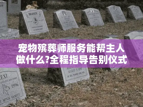 宠物殡葬师服务能帮主人做什么?全程指导告别仪式与纪念品选择