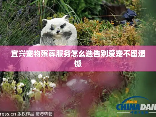 宜兴宠物殡葬服务怎么选告别爱宠不留遗憾