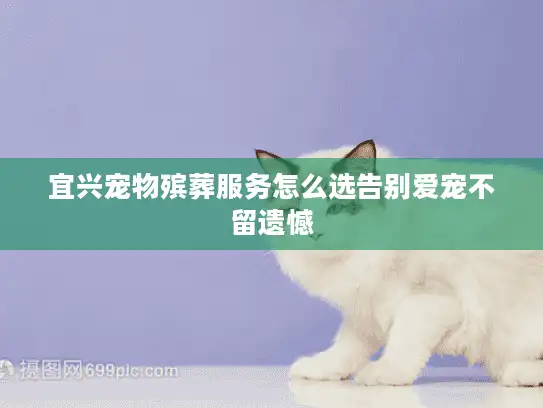 宜兴宠物殡葬服务怎么选告别爱宠不留遗憾