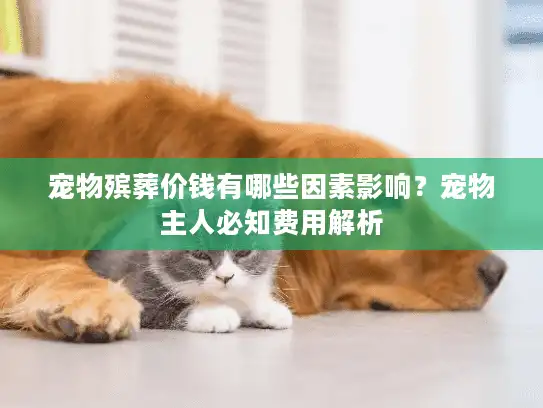 宠物殡葬价钱有哪些因素影响？宠物主人必知费用解析