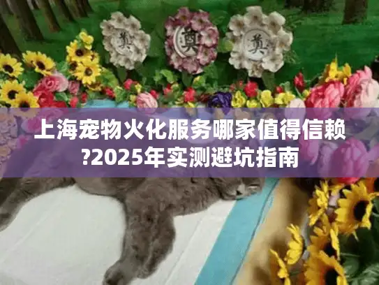 上海宠物火化服务哪家值得信赖?2025年实测避坑指南