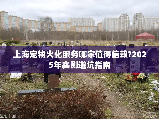 上海宠物火化服务哪家值得信赖?2025年实测避坑指南