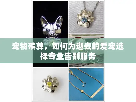 宠物殡葬，如何为逝去的爱宠选择专业告别服务