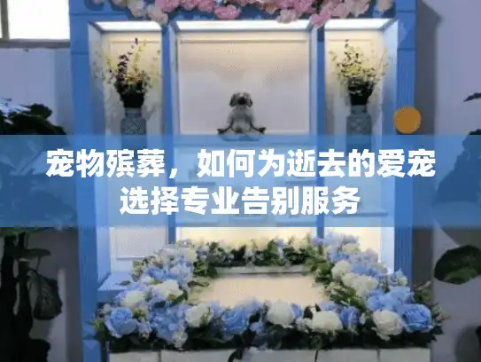 宠物殡葬，如何为逝去的爱宠选择专业告别服务