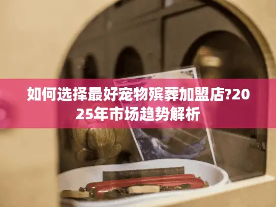 如何选择最好宠物殡葬加盟店?2025年市场趋势解析