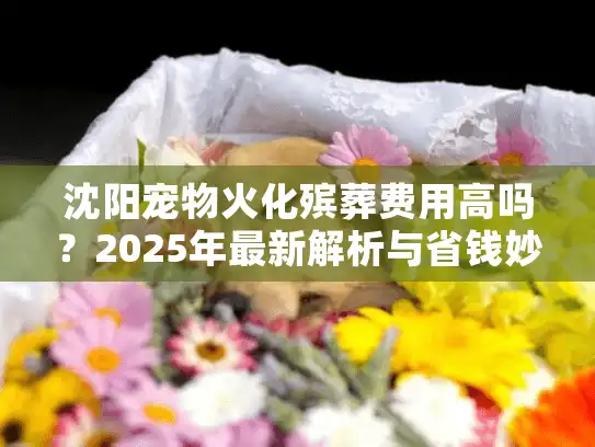 沈阳宠物火化殡葬费用高吗？2025年最新解析与省钱妙招