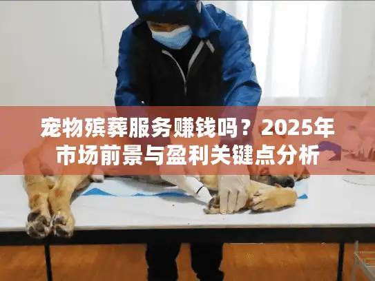 宠物殡葬服务赚钱吗？2025年市场前景与盈利关键点分析