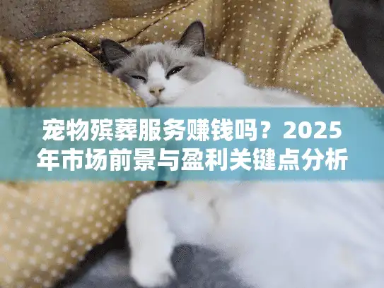 宠物殡葬服务赚钱吗？2025年市场前景与盈利关键点分析