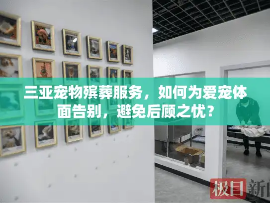 三亚宠物殡葬服务，如何为爱宠体面告别，避免后顾之忧？