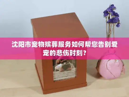 沈阳市宠物殡葬服务如何帮您告别爱宠的悲伤时刻？