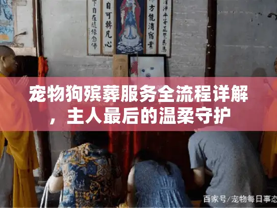 宠物狗殡葬服务全流程详解，主人最后的温柔守护
