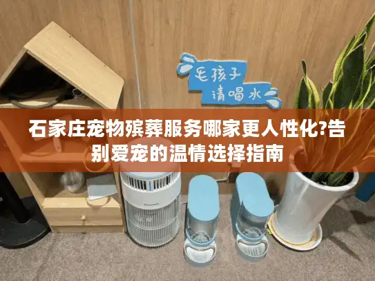 石家庄宠物殡葬服务哪家更人性化?告别爱宠的温情选择指南